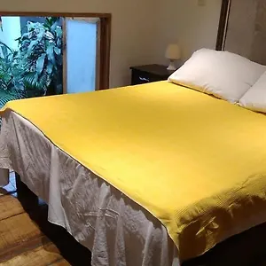 Parrot House San Antonio Cali